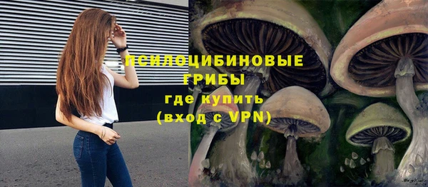 jwh Струнино