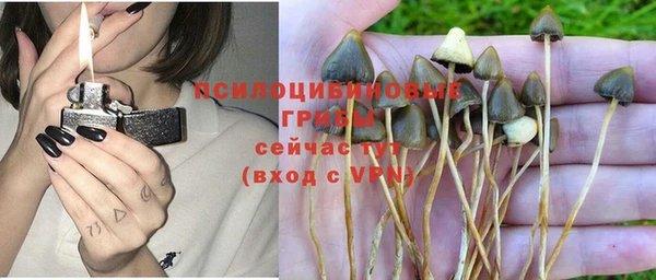 эйфоретик Строитель