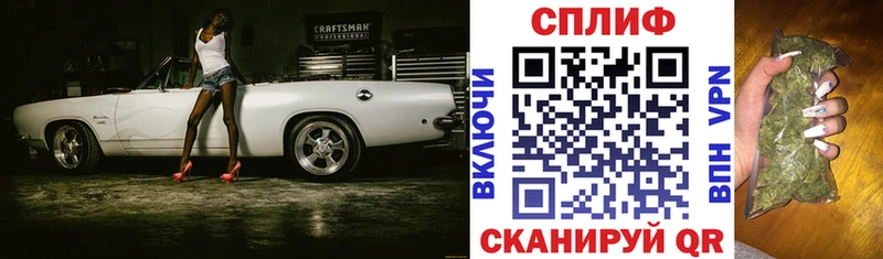 Купить где  Талица  Каннабис MAZAR 